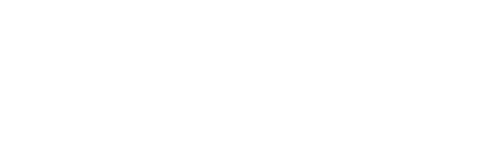 Logo BRUINE Band